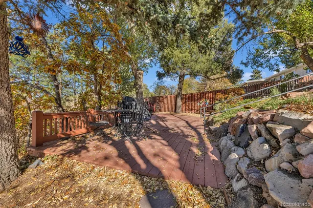 a view of a yard with plants and trees