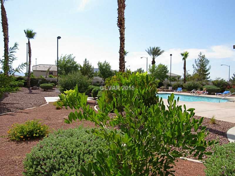 10111 Rising Tree Street Las Vegas, NV 89183 - Photo 32 of 34 Community Pool.