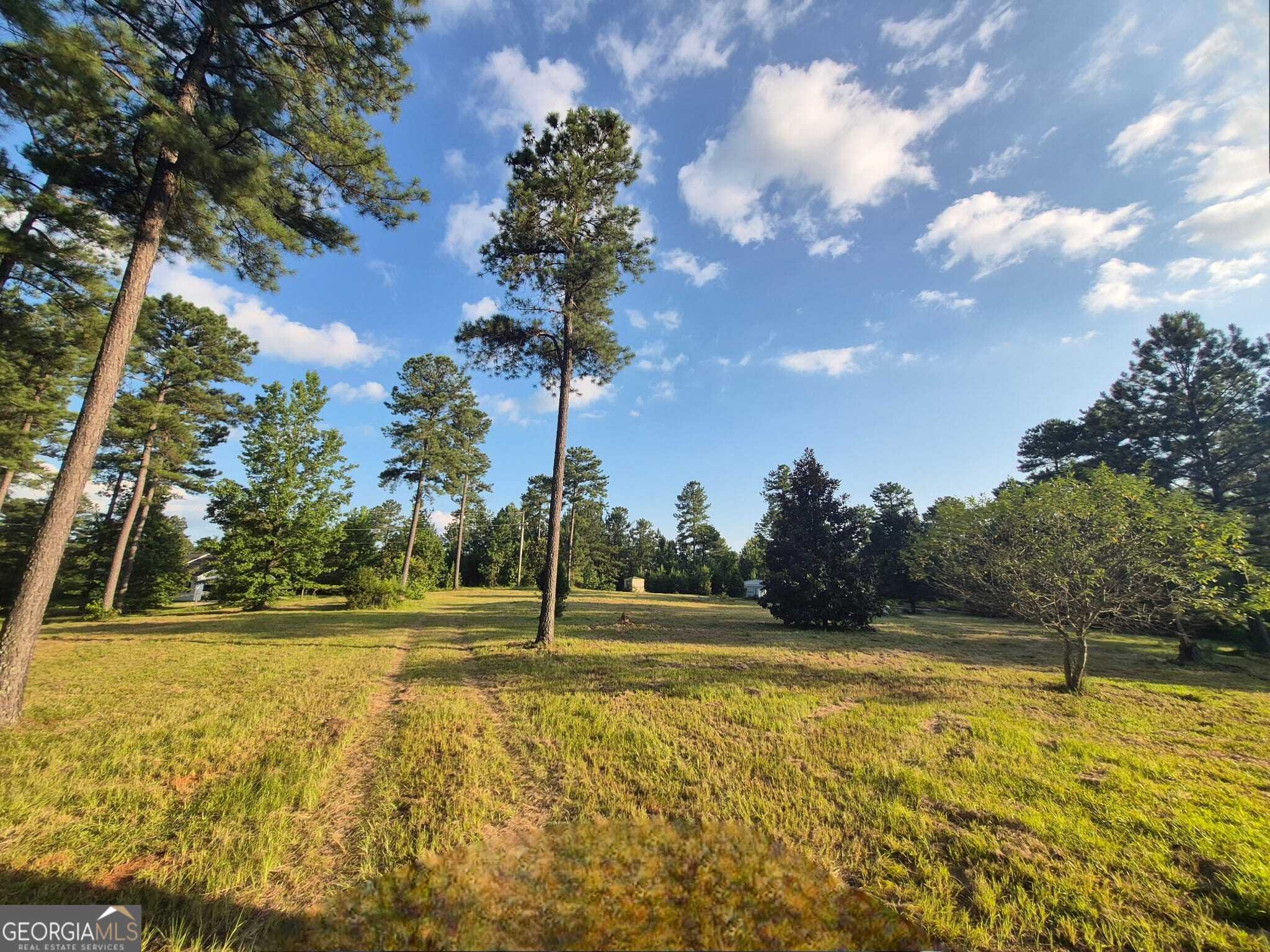 366 Firetower Road Hillsboro, GA 31038 - Photo 1 of 1 Gallery Image 1