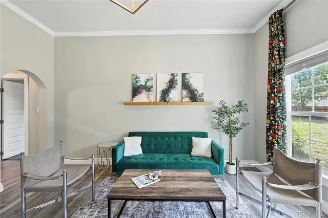 a living room with furniture and a potted plant