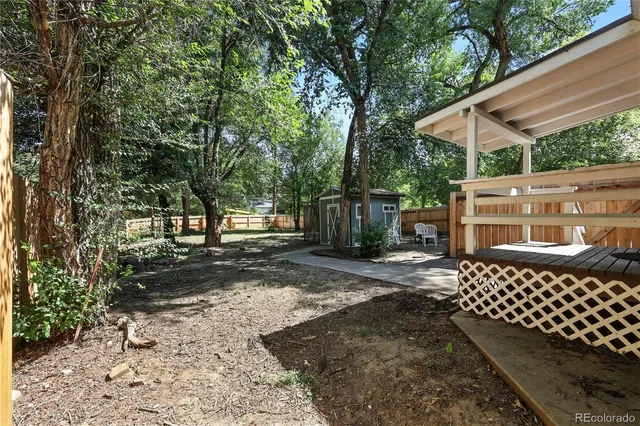 a view of a yard with tree s