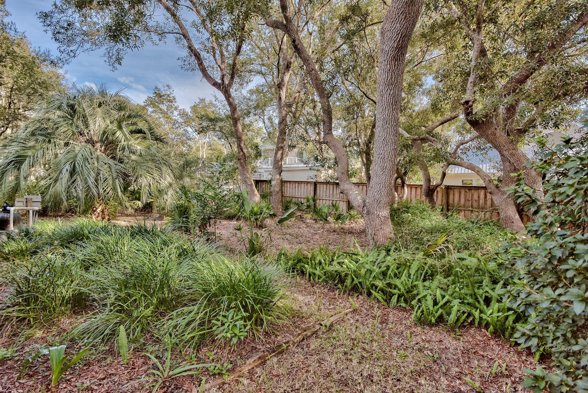 74 South Camp Creek Rd Inlet Beach Inlet Beach, FL 32461 - Photo 23 of 26 a view of a garden with a tree