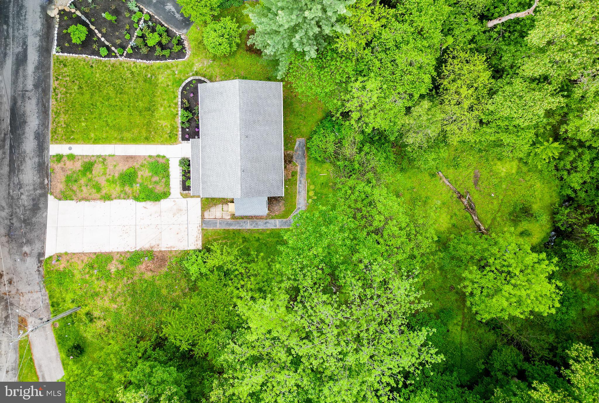 10902 Hammond Drive Laurel, MD 20723 - Photo 35 of 48 a view of a back yard with a plants and large tree