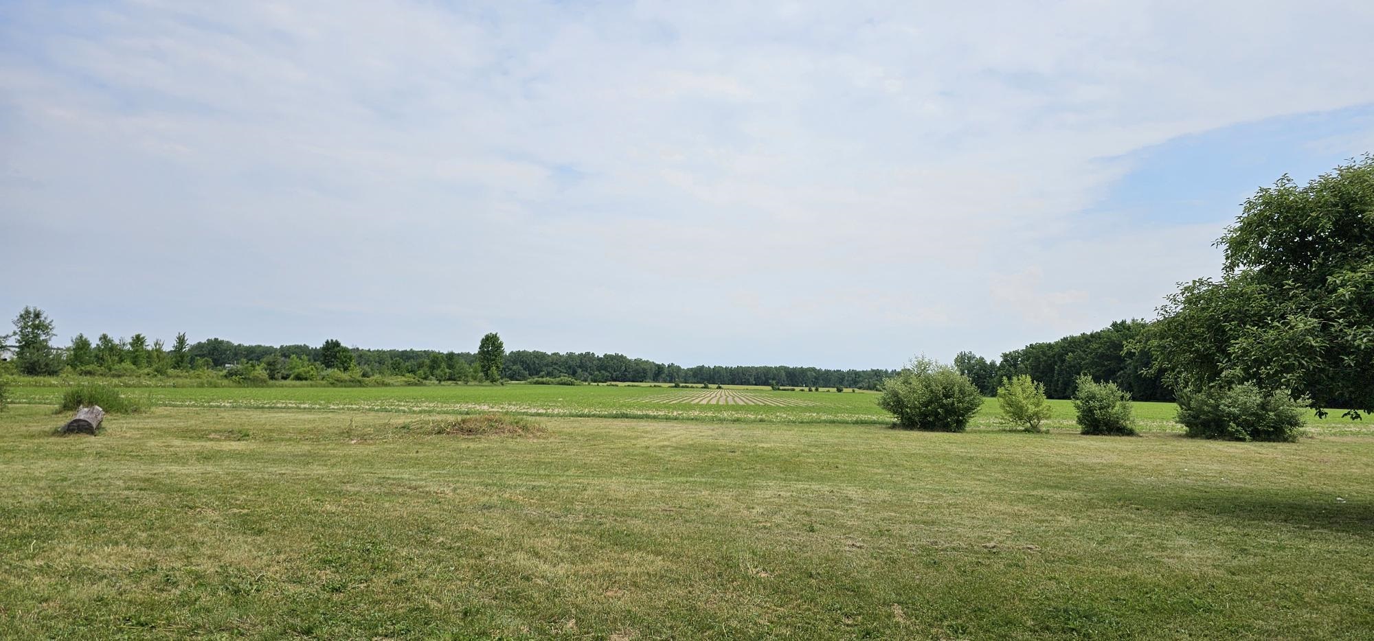 3596 Wyatt Road Standish, MI 48658 - Photo 42 of 55
