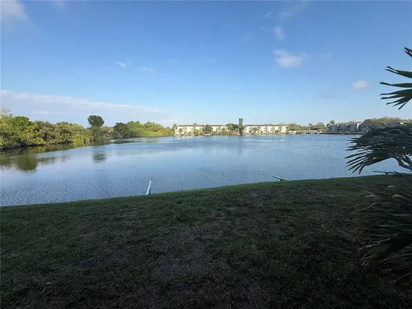a view of a lake from a yard