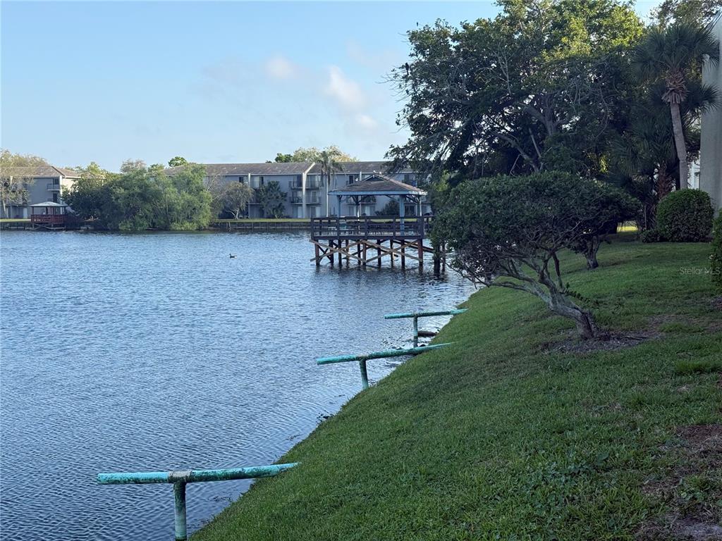 11485 Oakhurst Road, Unit 11001 Largo, FL 33774 - Photo 22 of 33