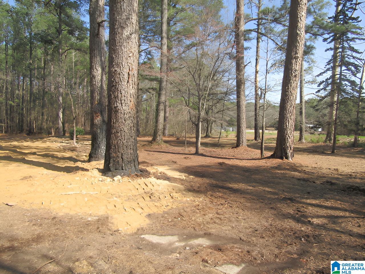 4429 Roy Webb Road Jacksonville, AL 36265 - Photo 24 of 26