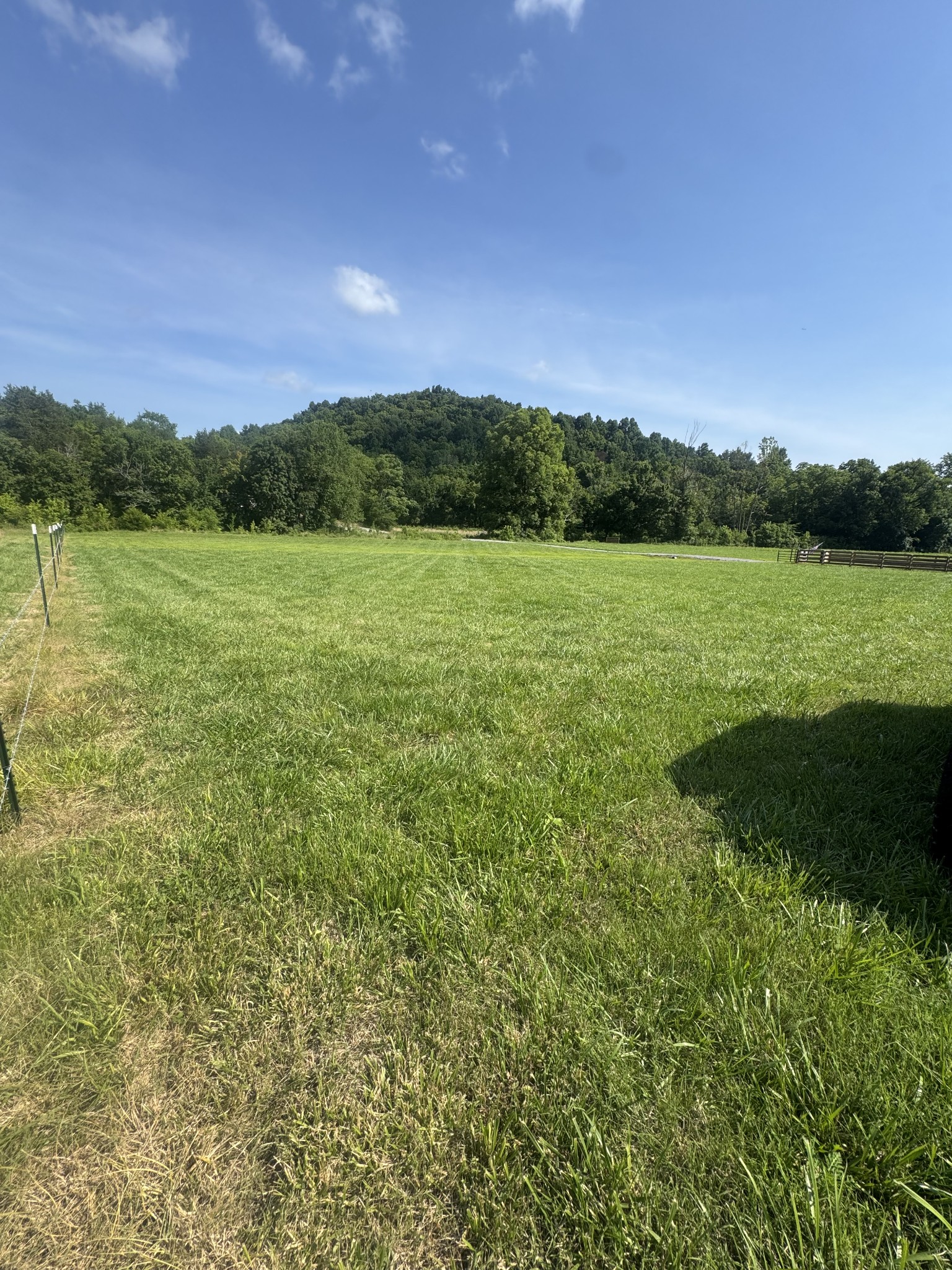 2970 Springplace Road Belfast, TN 37019 - Photo 34 of 40