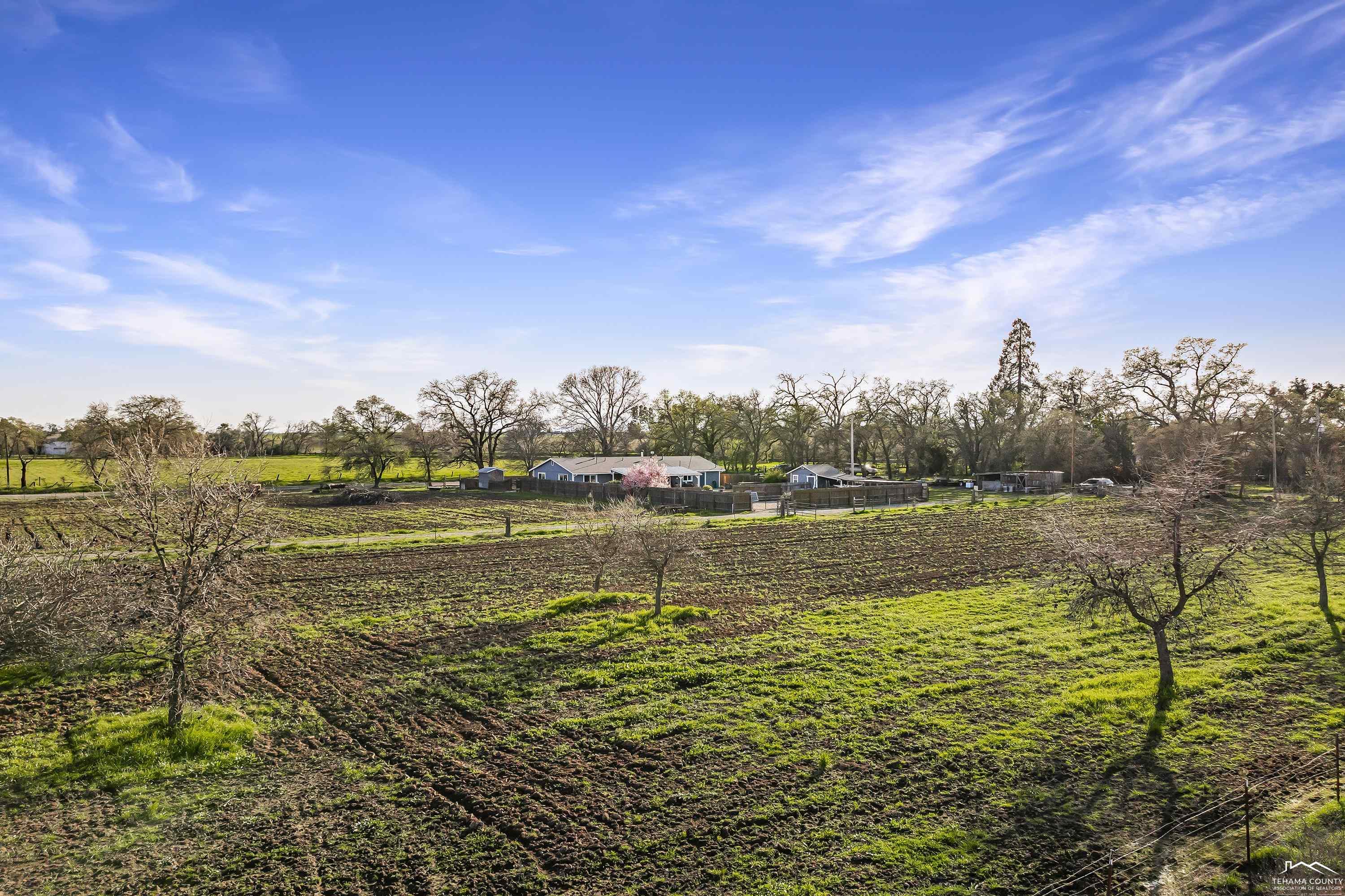 2112 Kirkwood Road Corning, CA 96021 - Photo 50 of 62