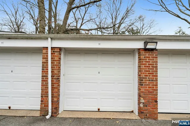 a park with large trees
