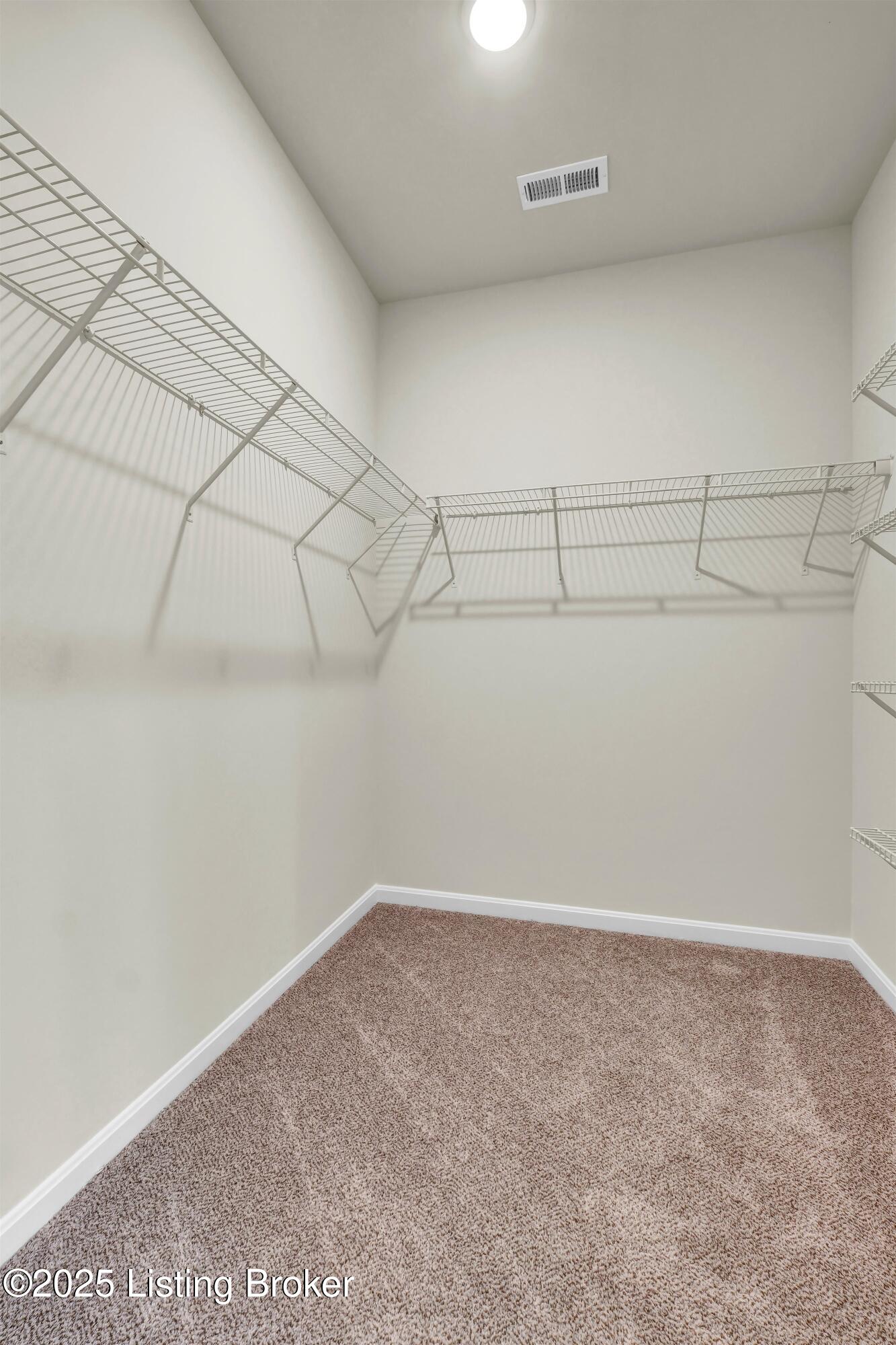8312 Fairmount Road Louisville, KY 40291 - Photo 24 of 33 Expansive Walk-in Closet
