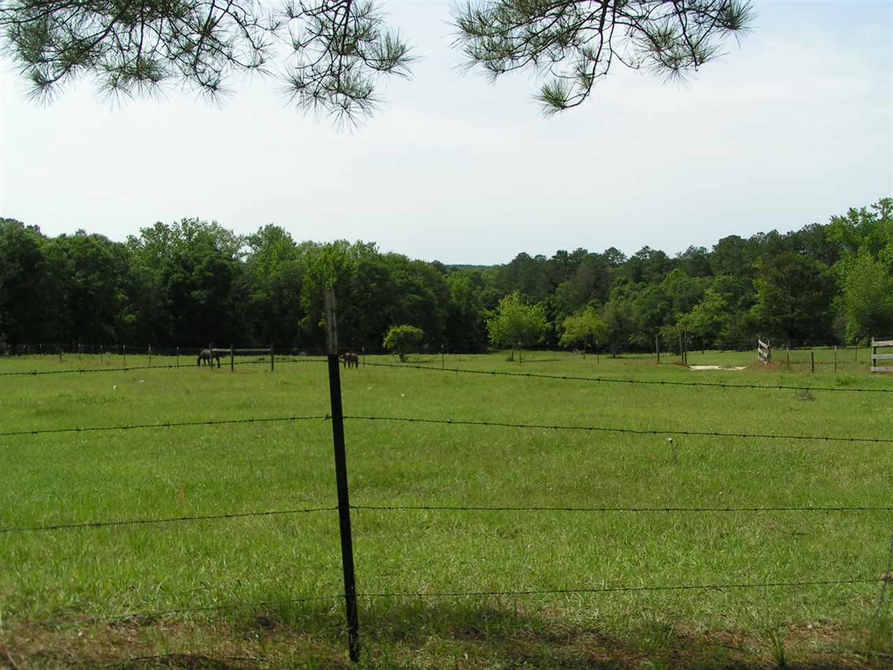 22591 Woodall Mill Road Opp, AL 36467 - Photo 3 of 33 Gallery Image 3