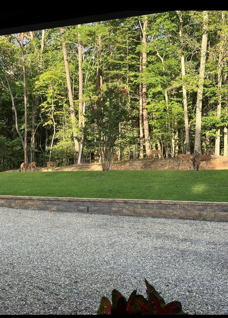 206 Hedden Road Murphy, NC 28906 - Photo 24 of 24 Gallery Image 24