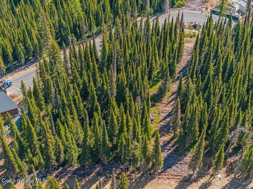 3 L 3 Sandpoint, ID 83864 - Photo 21 of 51 Lot and Ski Corridor
