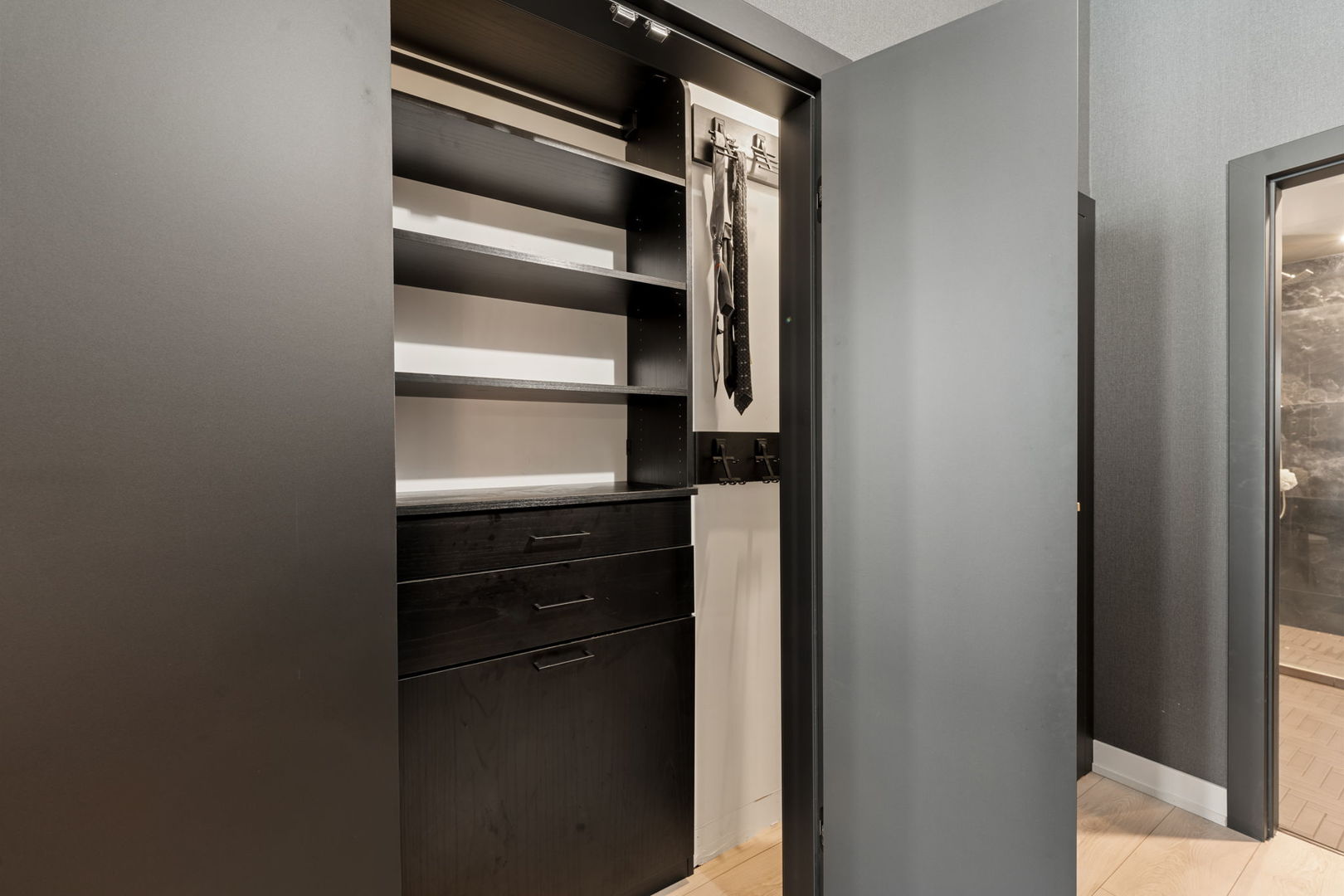 1305 South Michigan Avenue, Unit 907 Chicago, IL 60605 - Photo 14 of 20 a close view of closet