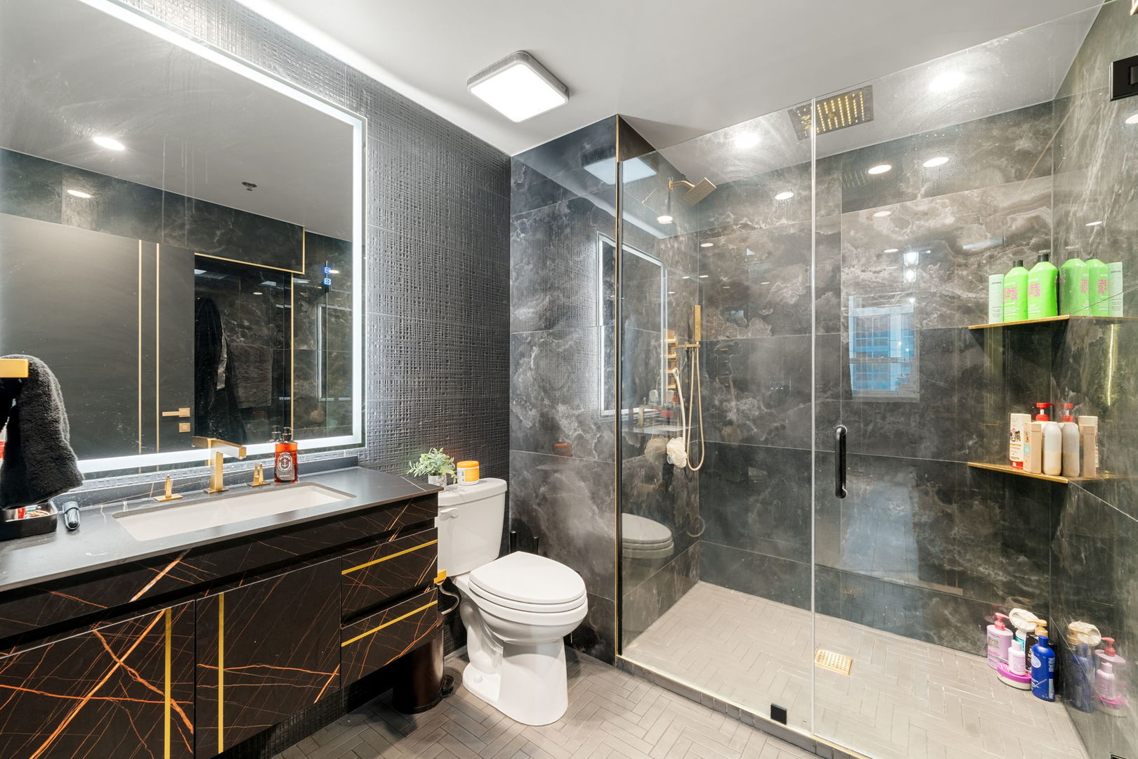 1305 South Michigan Avenue, Unit 907 Chicago, IL 60605 - Photo 17 of 20 a bathroom with a sink vanity granite toilet and a shower