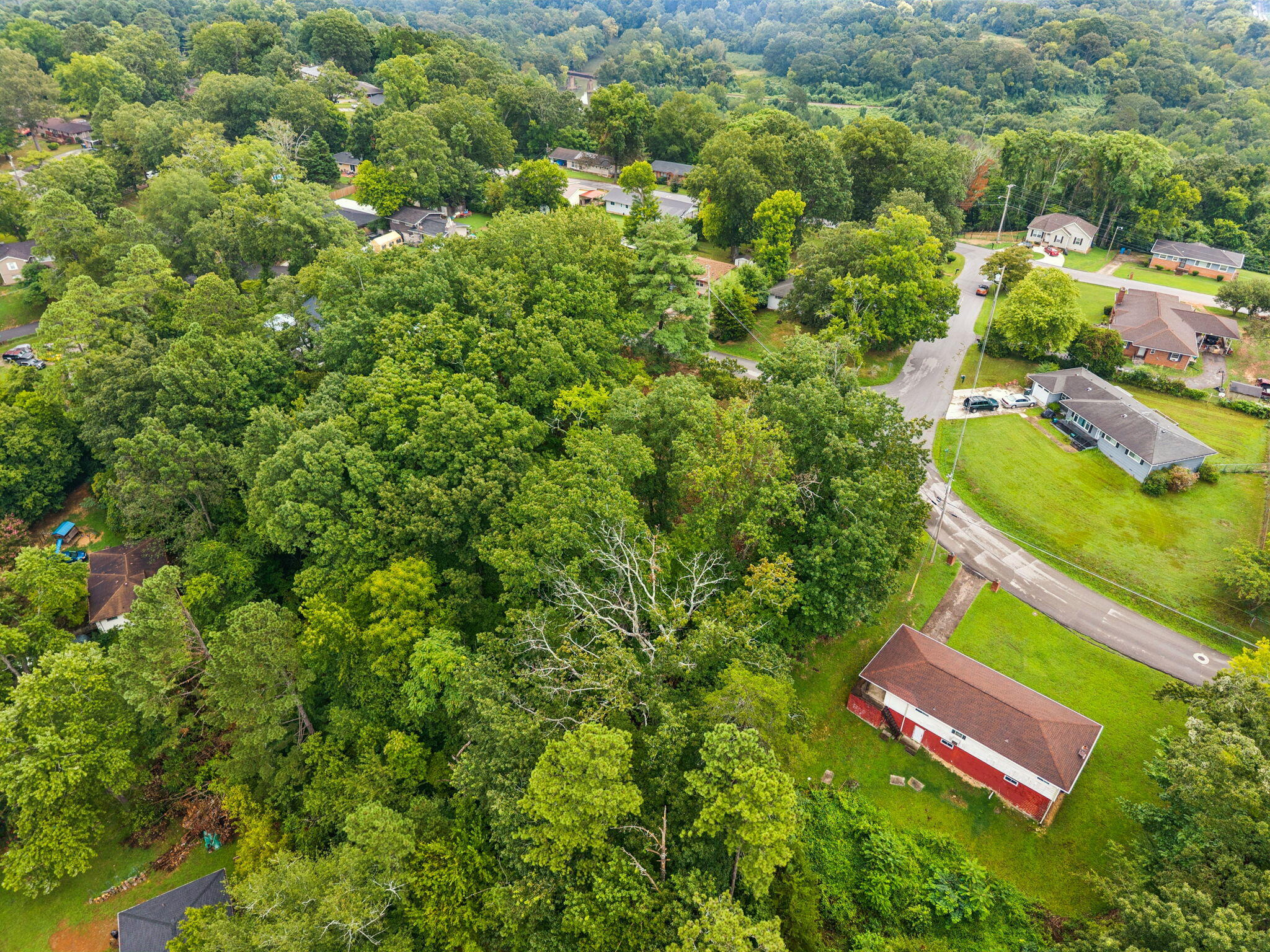 3703 Wauchula Street Chattanooga, TN 37406 - Photo 11 of 14 4-3703 Wauchula St - 004