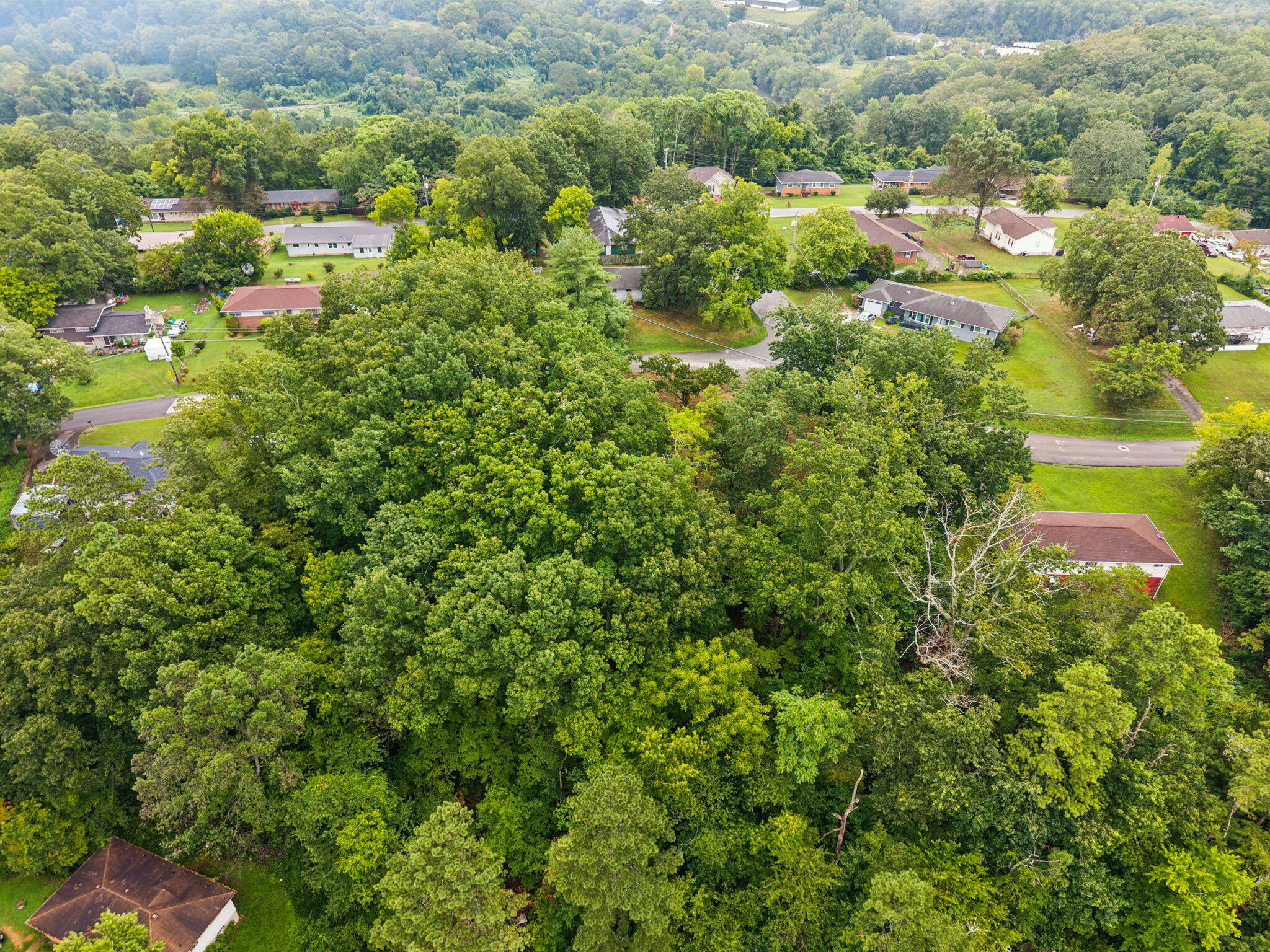 3703 Wauchula Street Chattanooga, TN 37406 - Photo 12 of 14 5-3703 Wauchula St - 005