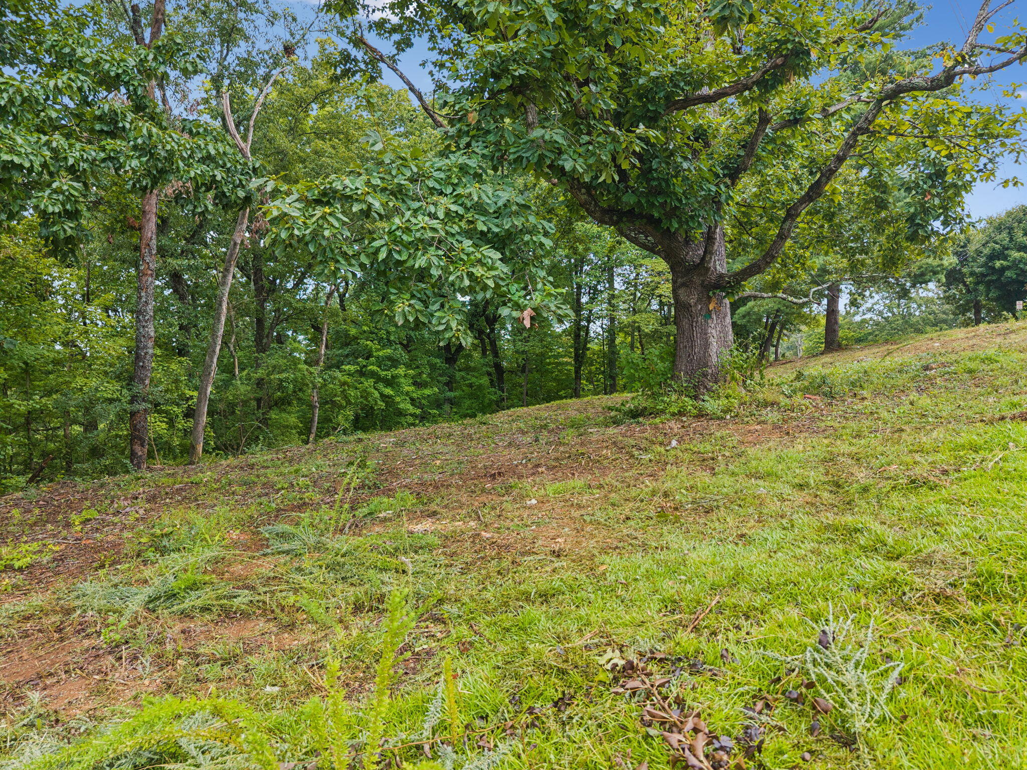 3703 Wauchula Street Chattanooga, TN 37406 - Photo 6 of 14 8-3703 Wauchula St - 008