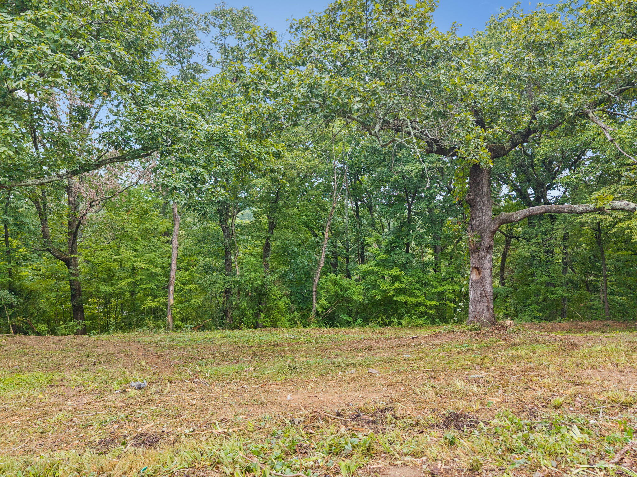 3703 Wauchula Street Chattanooga, TN 37406 - Photo 7 of 14 9-3703 Wauchula St - 009
