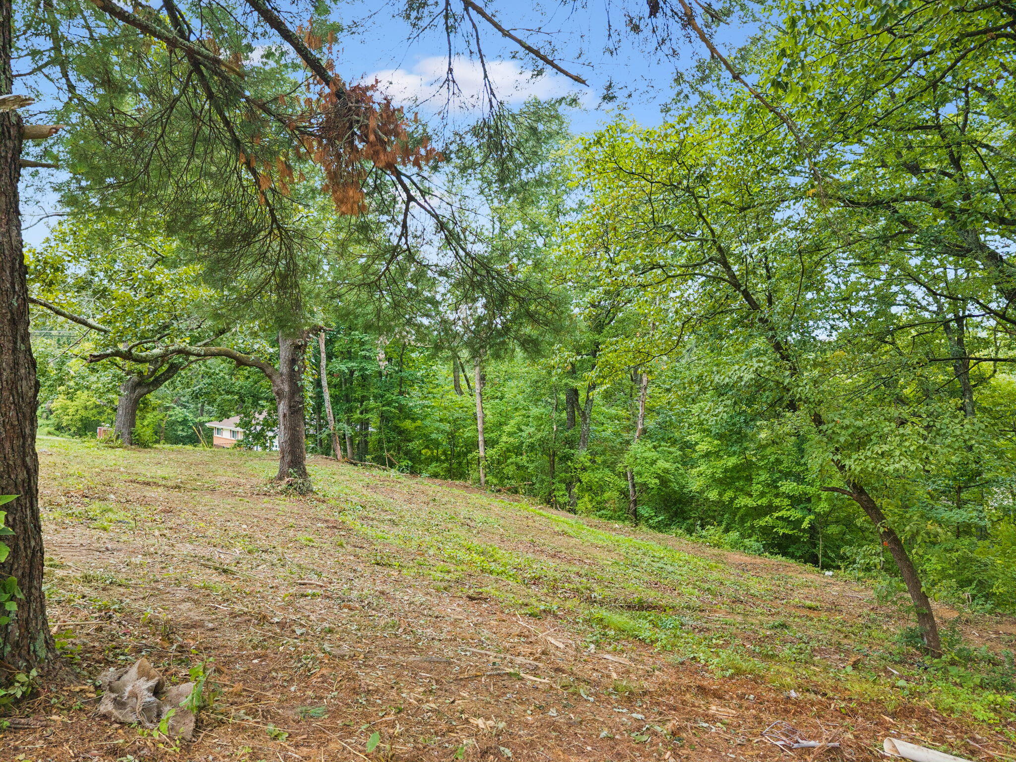 3703 Wauchula Street Chattanooga, TN 37406 - Photo 8 of 14 10-3703 Wauchula St - 010