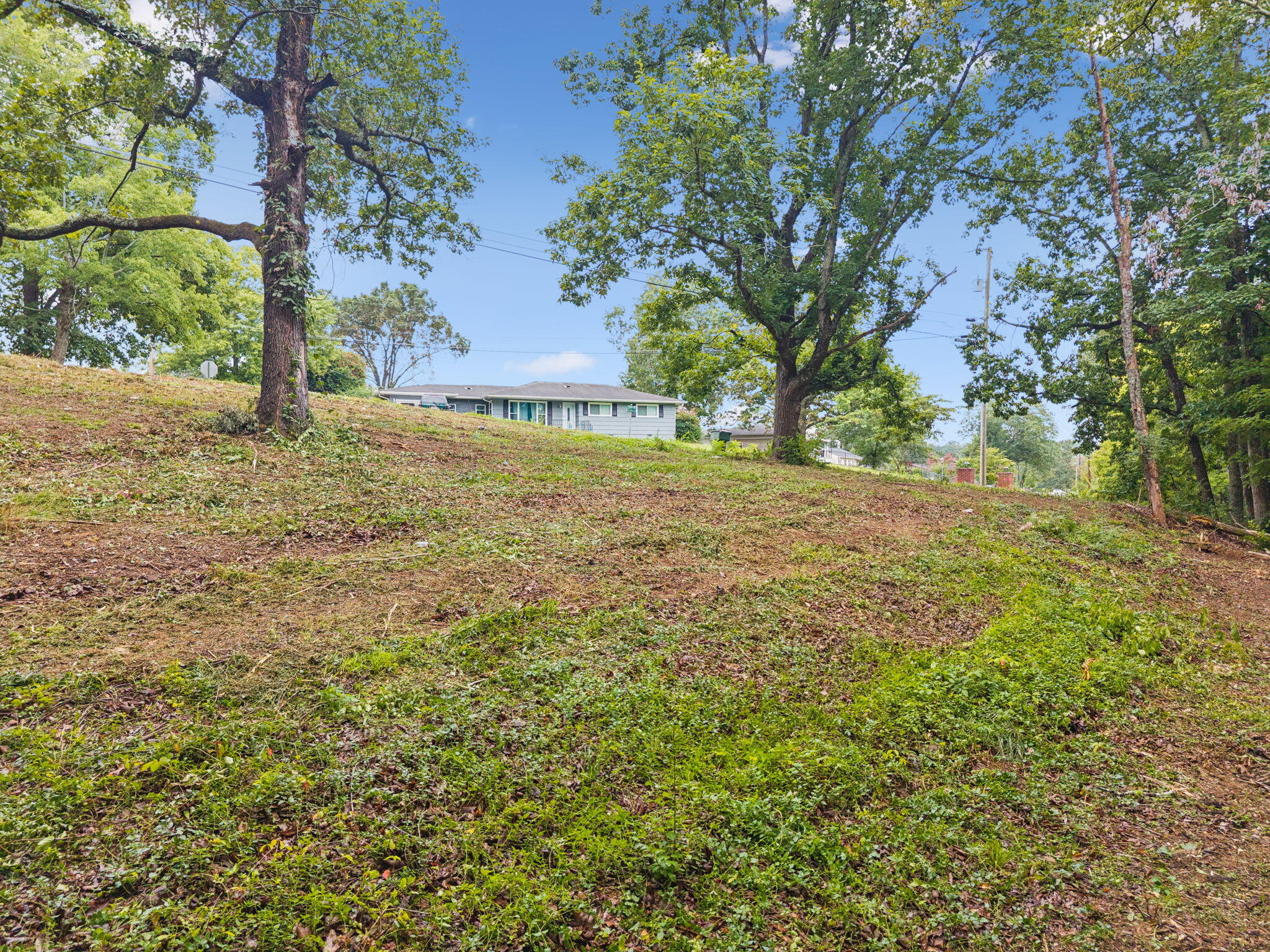 3703 Wauchula Street Chattanooga, TN 37406 - Photo 9 of 14 11-3703 Wauchula St - 011