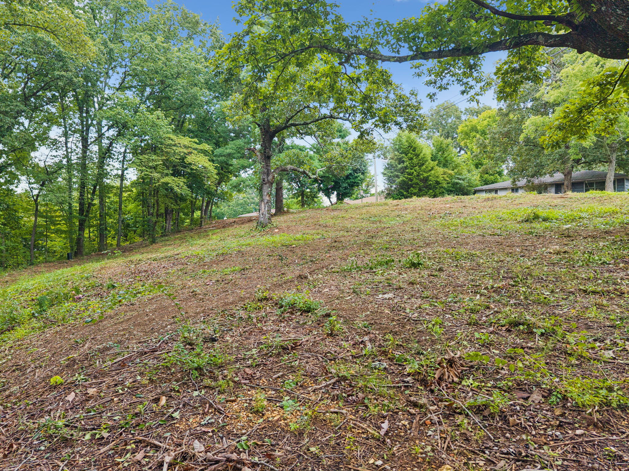 3703 Wauchula Street Chattanooga, TN 37406 - Photo 10 of 14 12-3703 Wauchula St - 012