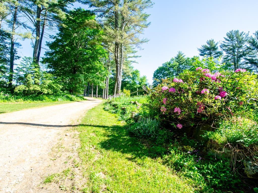 46 Will Smith Road Pittsfield, NH 03263 - Photo 20 of 40
