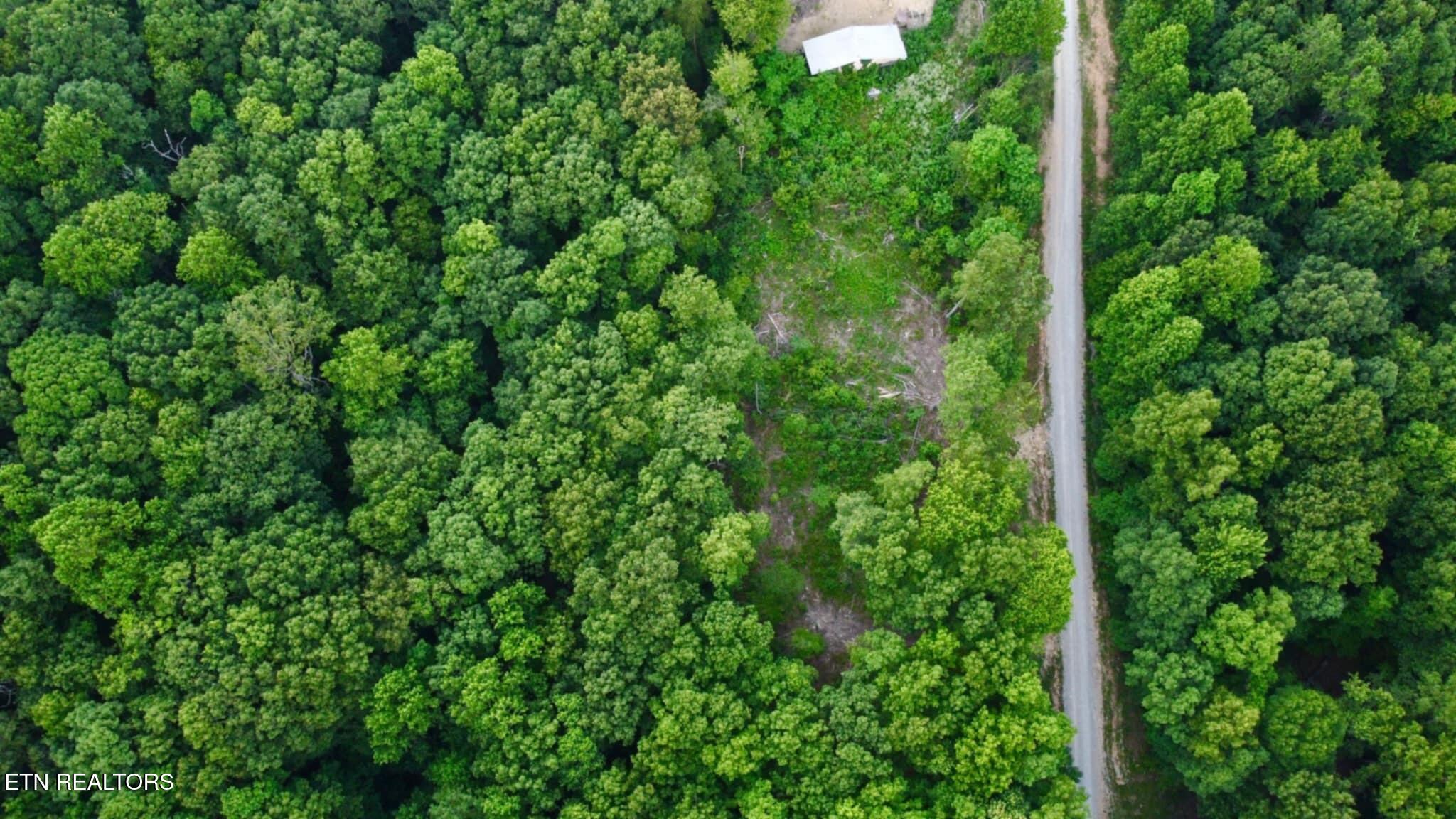 5.21-acres Browns Holler Road Spring City, TN 37381 - Photo 12 of 16 Messenger_creation_8C656AA8-1B90-4A60-84