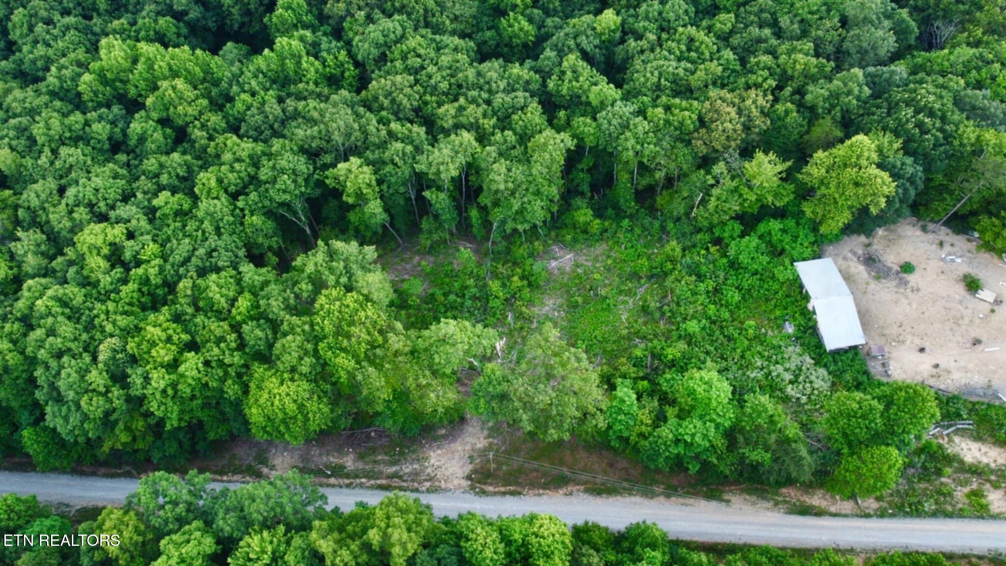 5.21-acres Browns Holler Road Spring City, TN 37381 - Photo 13 of 16 Messenger_creation_14570DCB-62D4-4928-A5