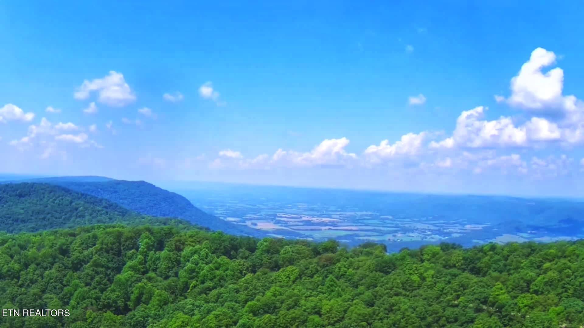 5.21-acres Browns Holler Road Spring City, TN 37381 - Photo 6 of 16 Messenger_creation_46FEC4AC-5DC4-4F68-9C