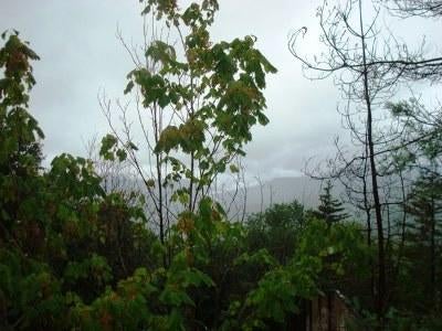 25 West Ridge Snowshoe, WV 26209 - Photo 7 of 7 Gallery Image 7