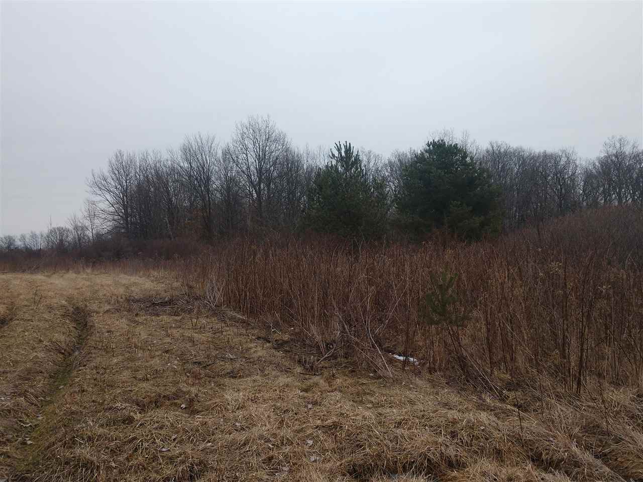 4 Linden Road Mount Morris, MI 48458 - Photo 4 of 4