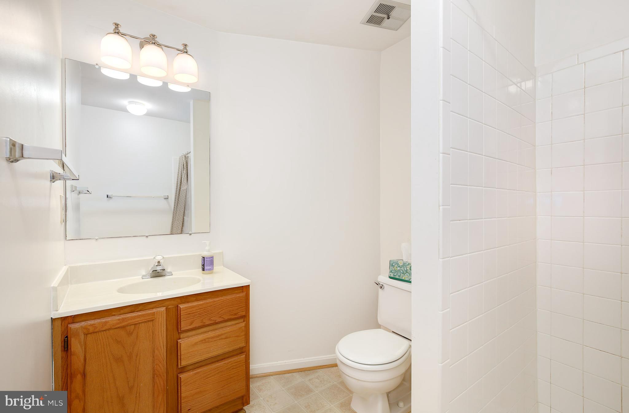 11928 Redtree Way Reston, VA 20194 - Photo 24 of 29 Bath (Master)