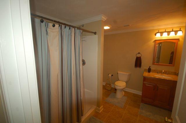 1457 Virginia Ridge Drive Hardy, VA 24101 - Photo 34 of 46 LOWER BATH