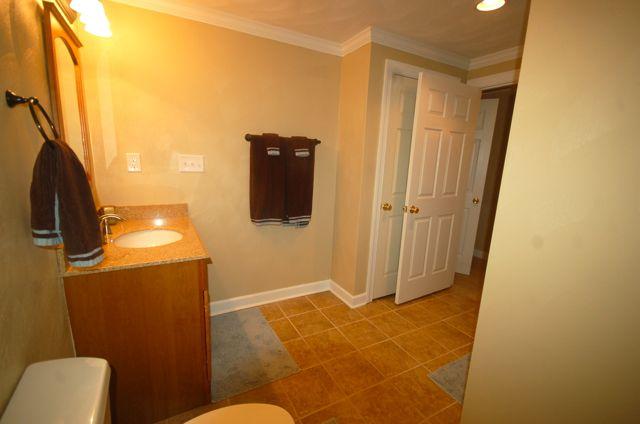1457 Virginia Ridge Drive Hardy, VA 24101 - Photo 35 of 46 LOWER BATH
