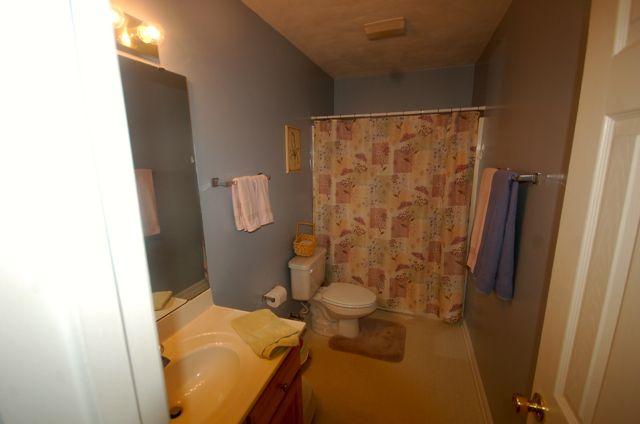 1457 Virginia Ridge Drive Hardy, VA 24101 - Photo 39 of 46 HALL BATH ROOM