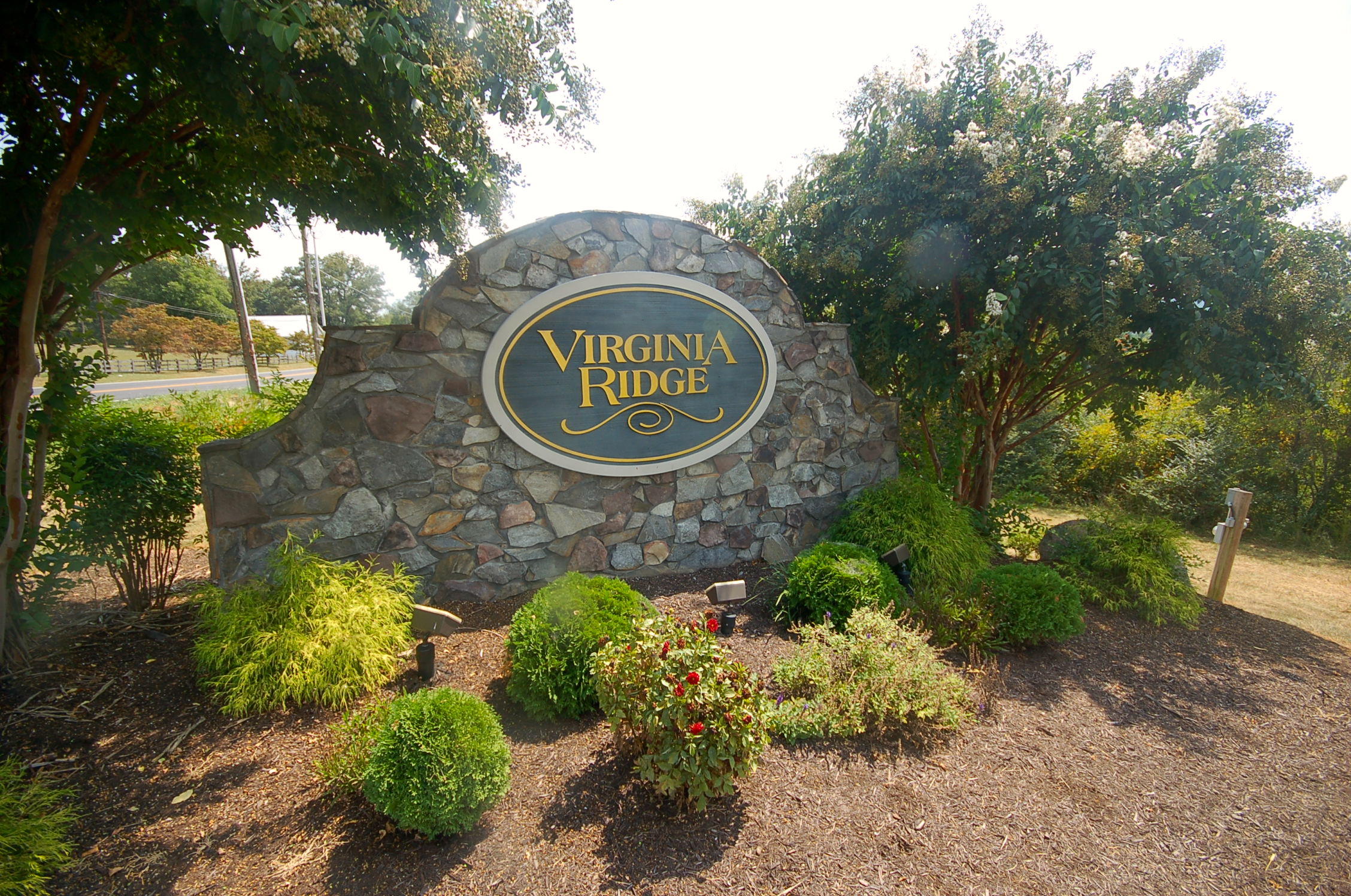 1457 Virginia Ridge Drive Hardy, VA 24101 - Photo 42 of 46 entrance