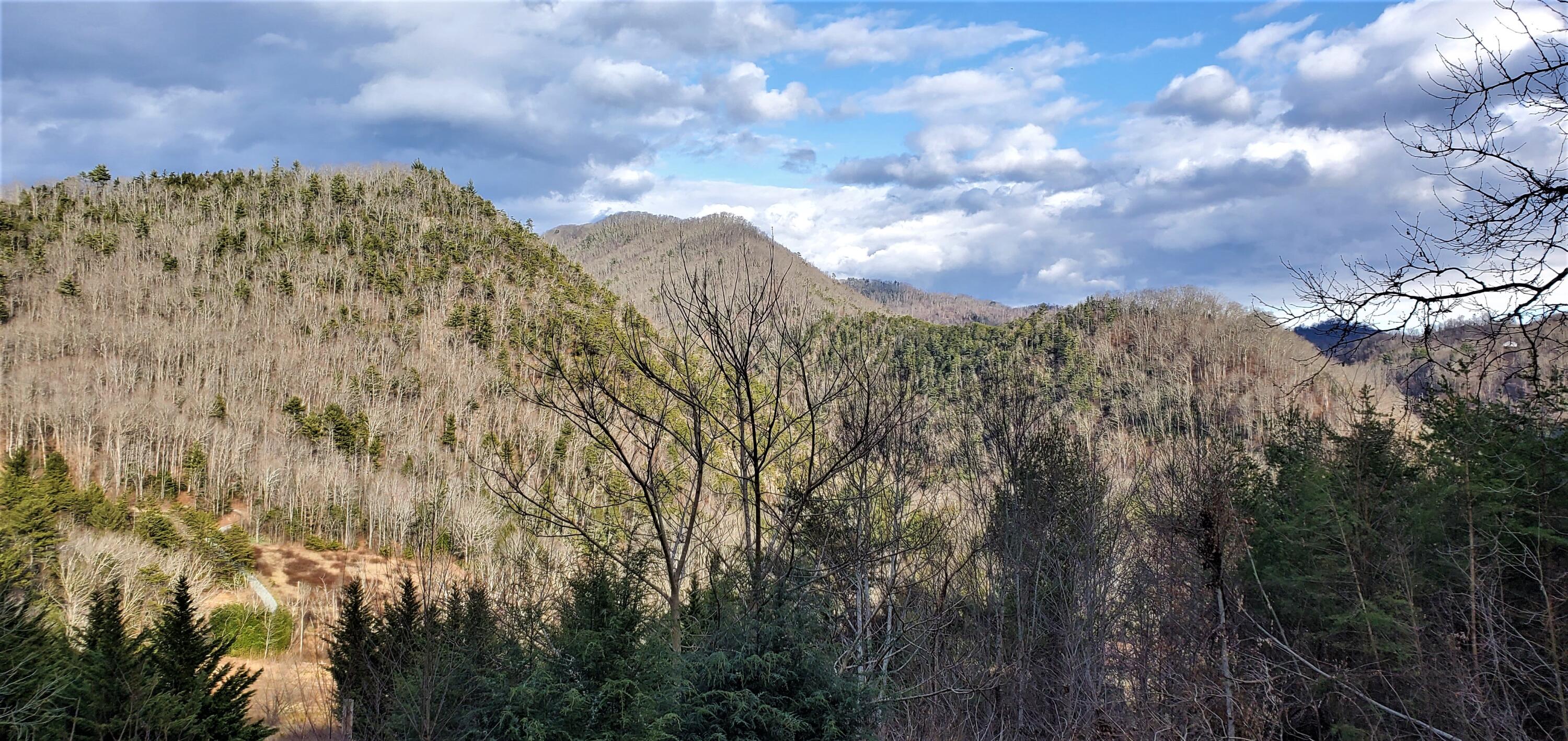 494 Tester Road Butler, TN 37640 - Photo 11 of 45 2022-2-24 Karl Livingston (2)