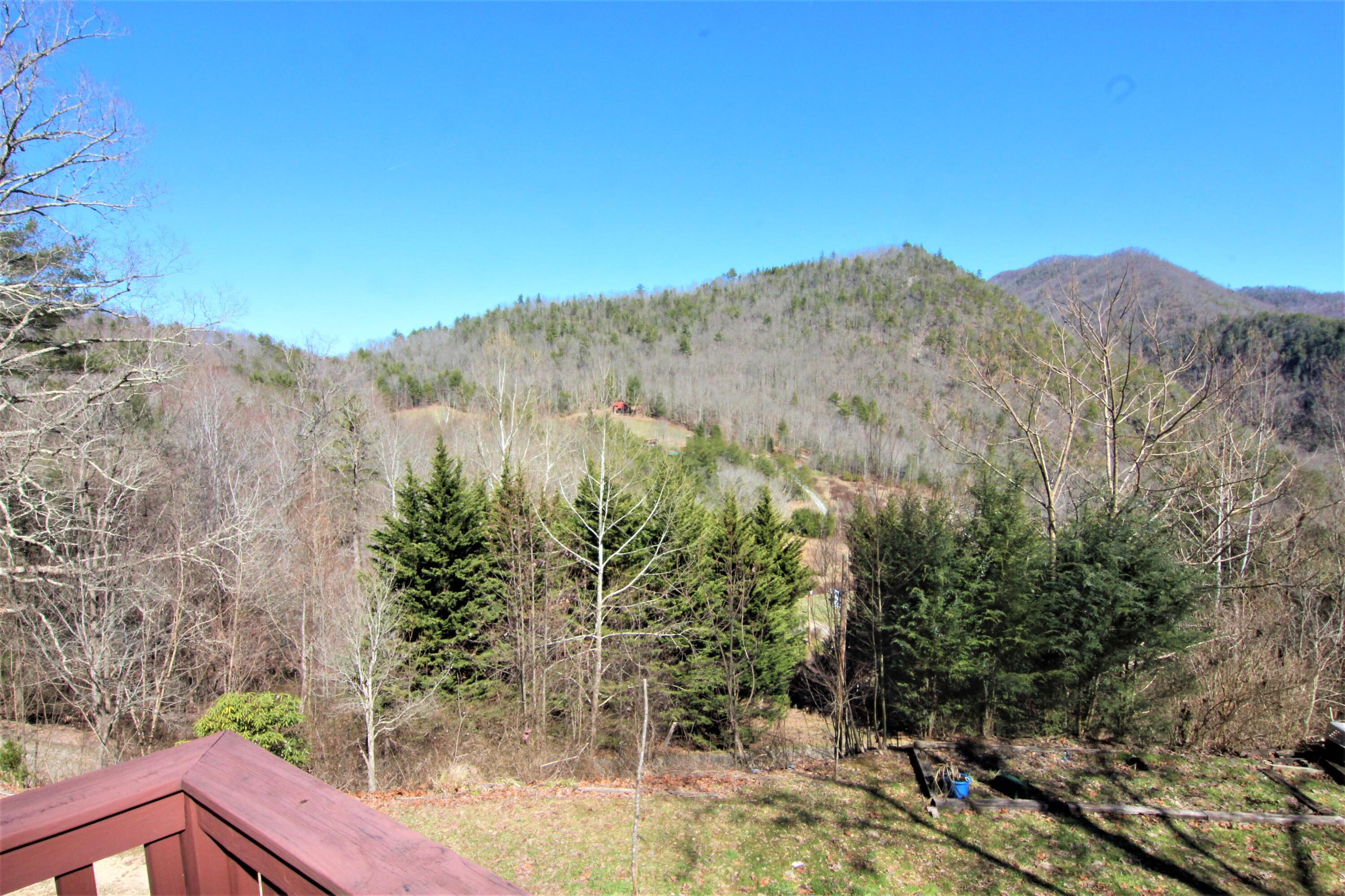 494 Tester Road Butler, TN 37640 - Photo 24 of 45 IMG_0098 (2)