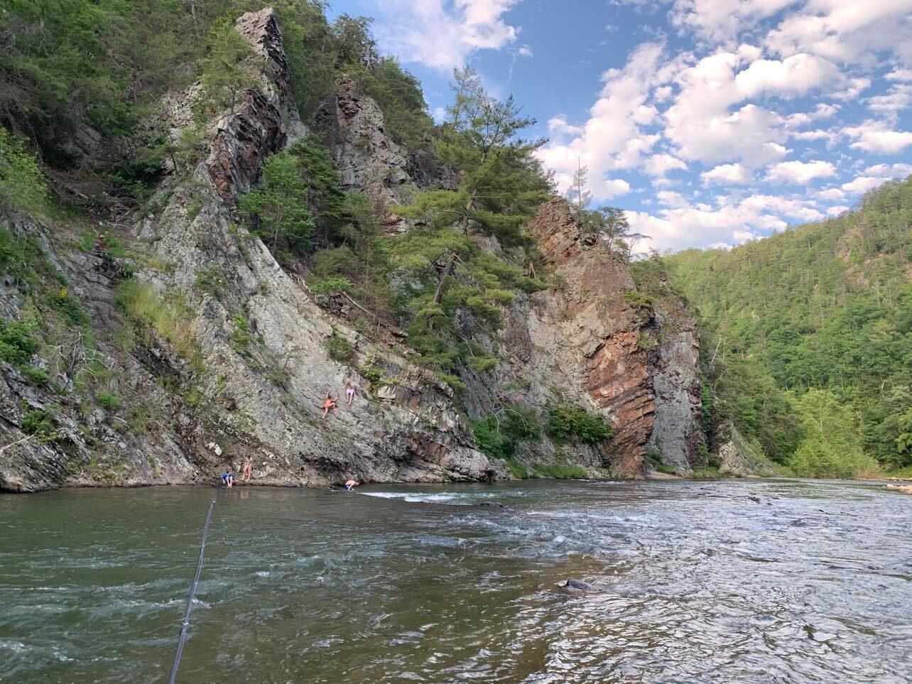 494 Tester Road Butler, TN 37640 - Photo 3 of 45 494 Tester #2