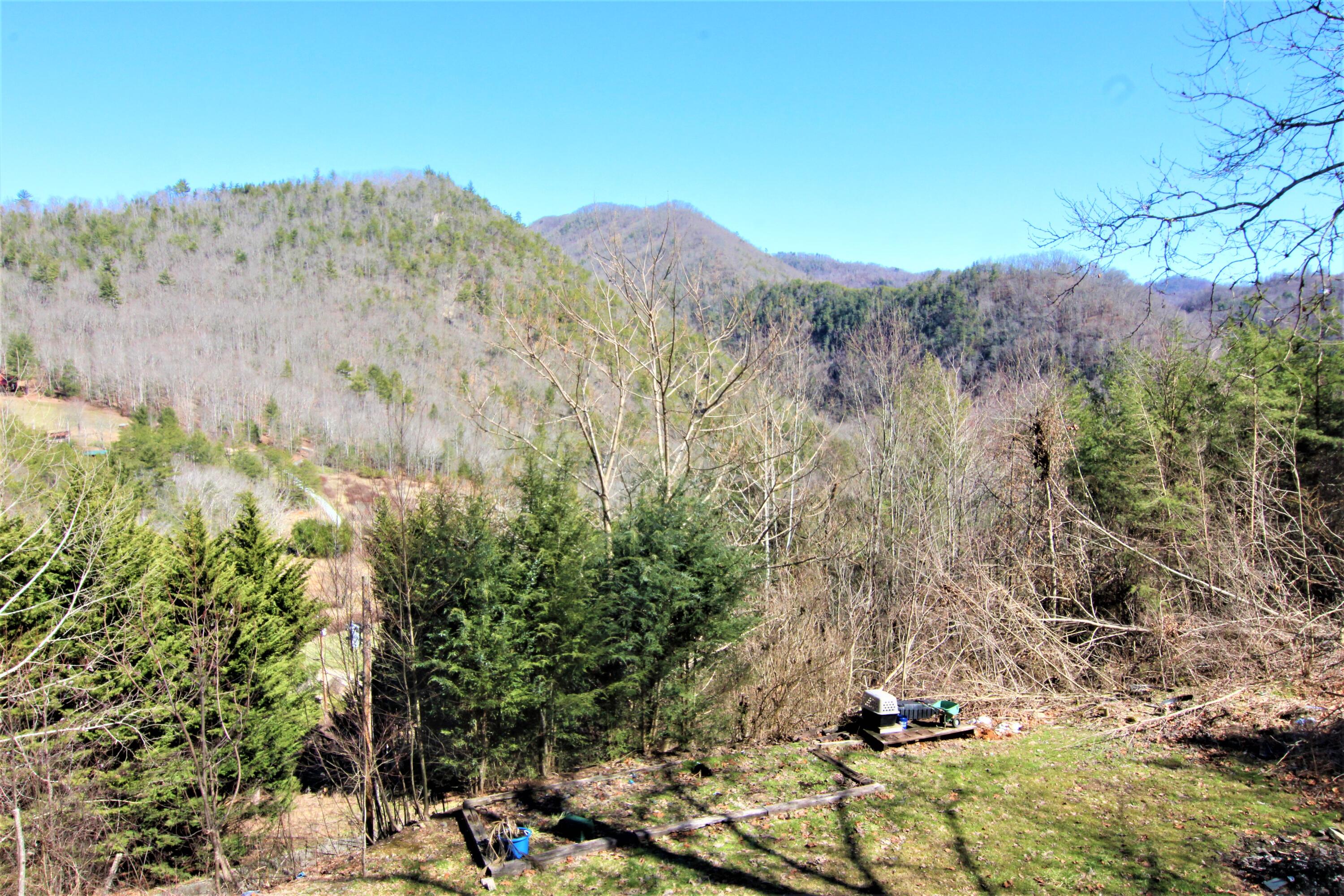 494 Tester Road Butler, TN 37640 - Photo 32 of 45 IMG_0099 (2)