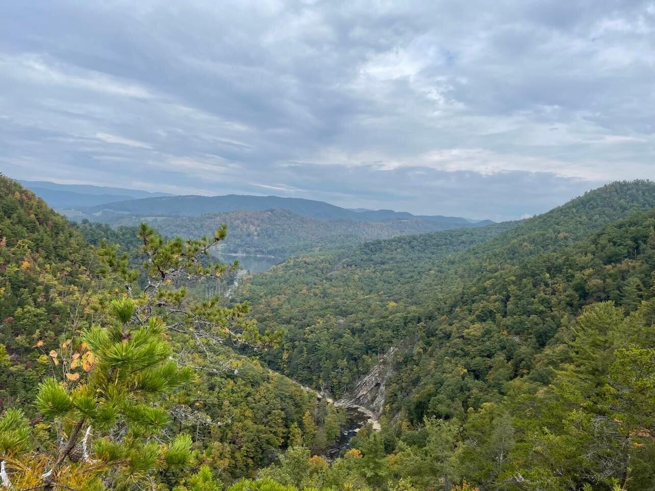 494 Tester Road Butler, TN 37640 - Photo 4 of 45 494 Tester #3