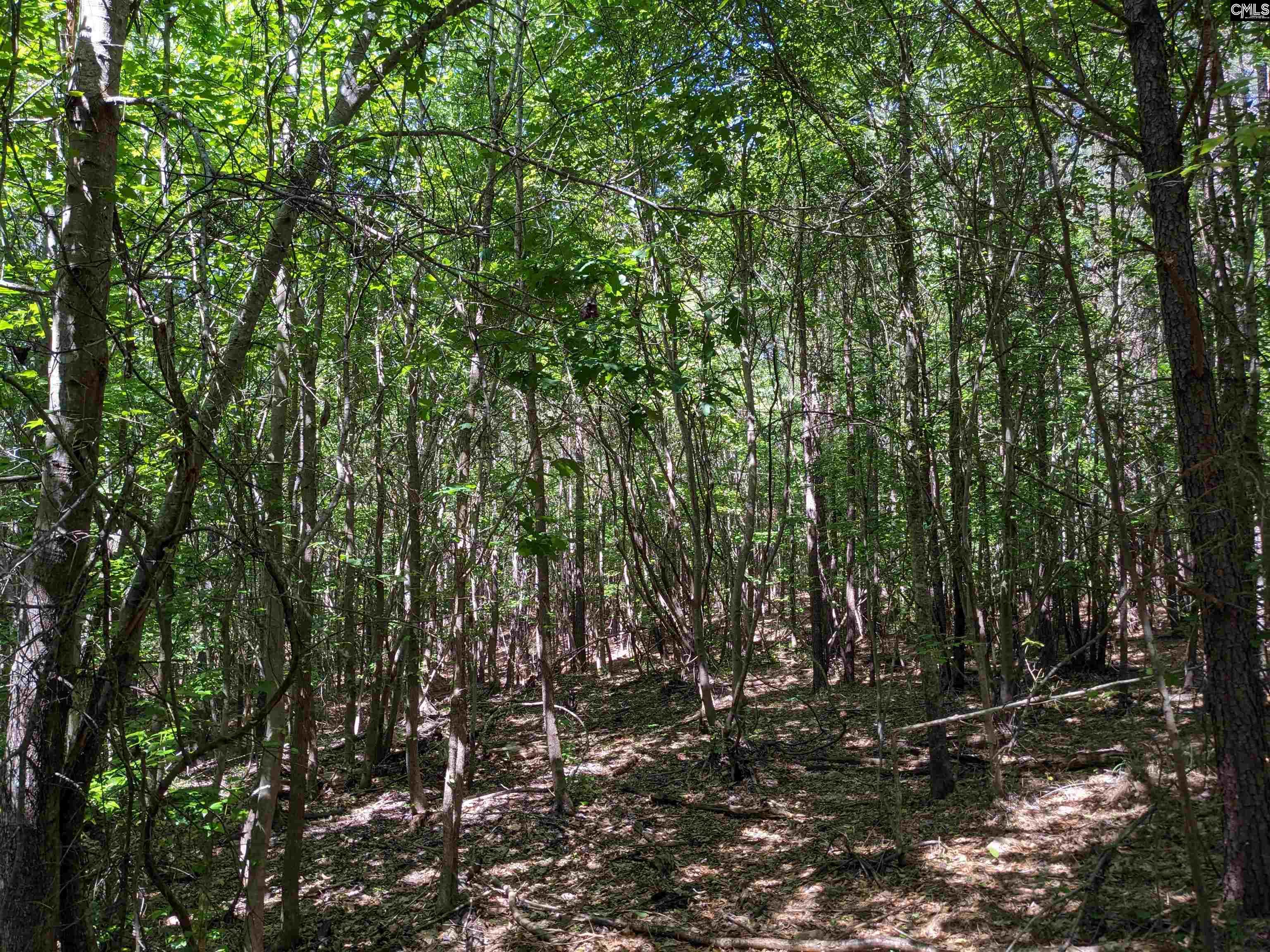 Jewel Drive Ridgeway, SC 29130 - Photo 19 of 20