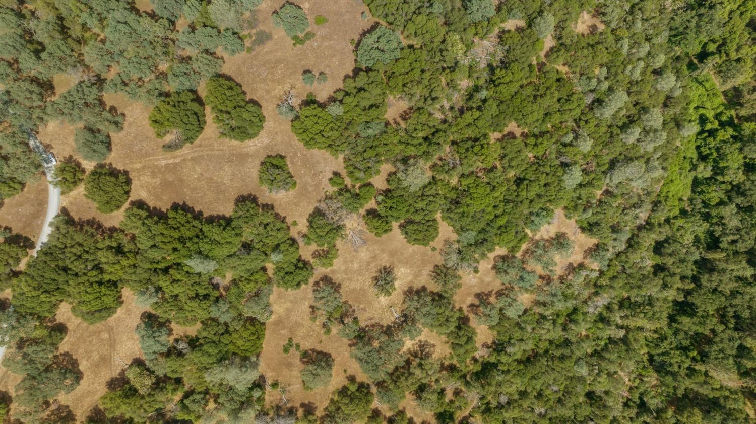 2 Bell Road Plymouth, CA 95669 - Photo 14 of 20