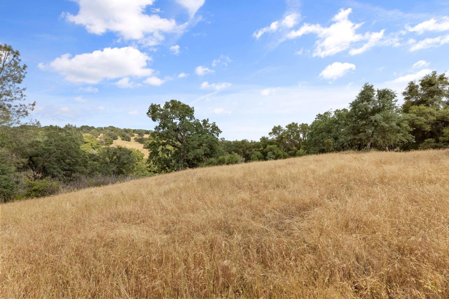 2 Bell Road Plymouth, CA 95669 - Photo 2 of 20 a view of a dry yard with trees in the background