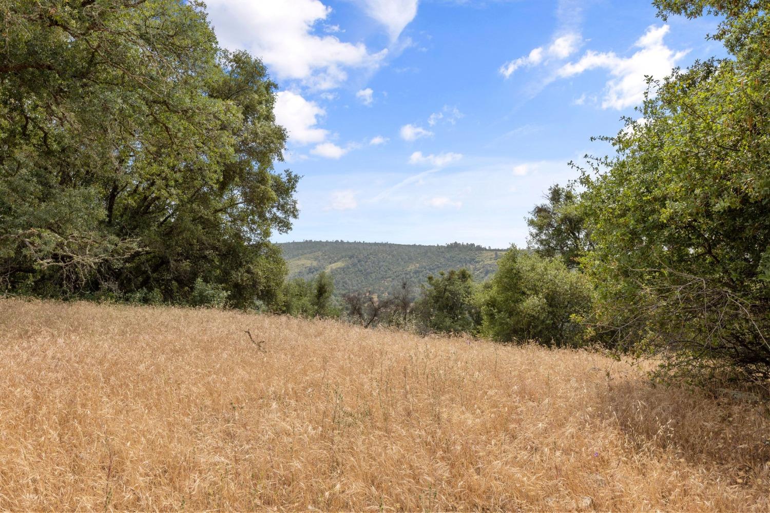 2 Bell Road Plymouth, CA 95669 - Photo 3 of 20 a view of mountain view with lots of trees