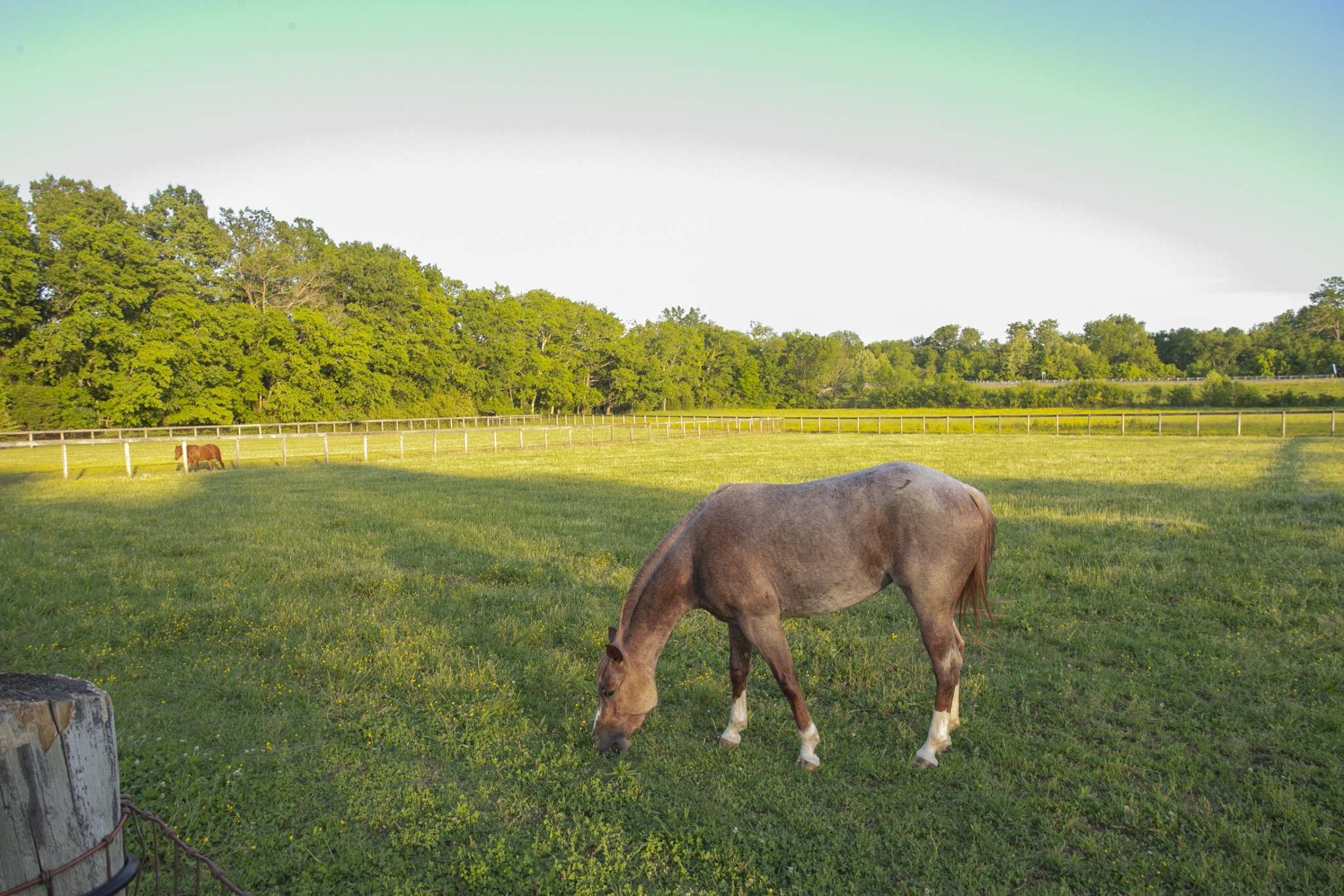6330 Cox Road Arrington, TN 37014 - Photo 9 of 31 Gallery Image 9