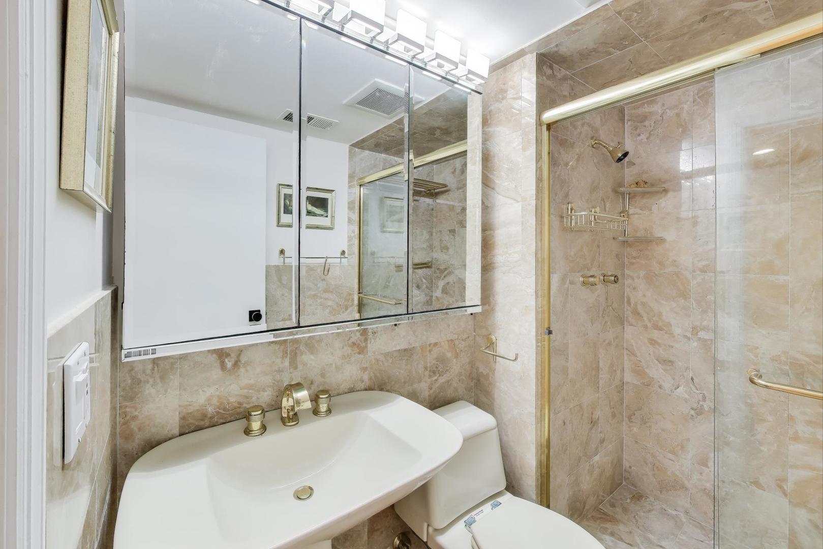 300 Boardwalk Place Park Ridge, IL 60068 - Photo 41 of 52 a bathroom with a sink mirror toilet and shower