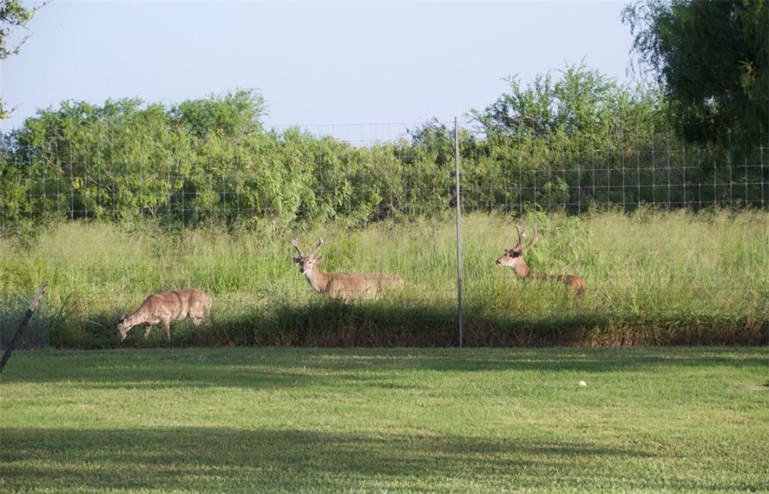 8710 KIng Ranch Drive Corpus Christi, TX 78414 - Photo 38 of 38 a view of a lake view with a large trees